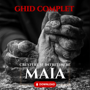 Ghid complet Maia - Totul despre Crearea și Îngrijirea Maielei
