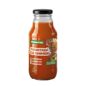 Frootadă cu Ghimbir 330ml