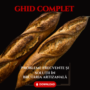 Ghid - Probleme Frecvente și Soluții în Brutăria Artizanală
