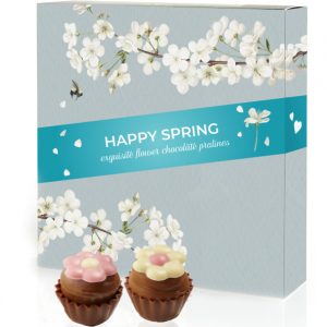 SPRING CUPCAKES 9